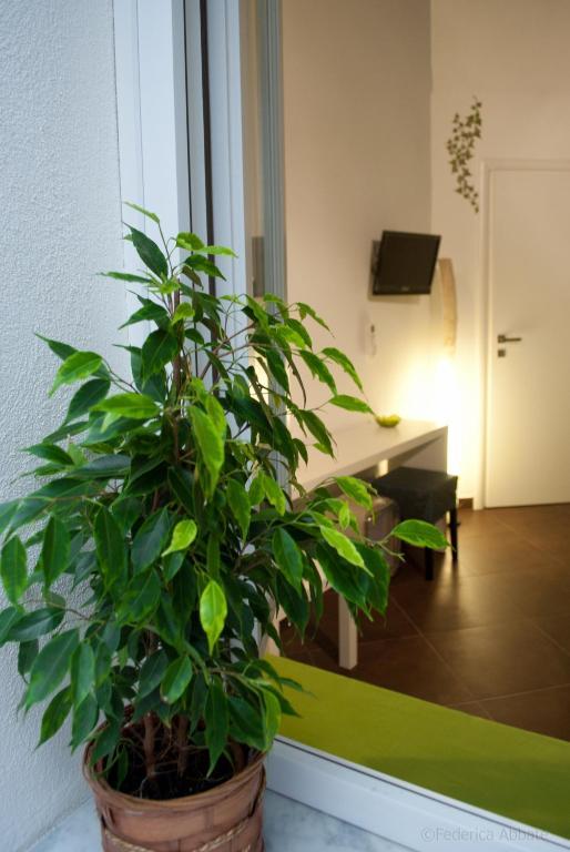 פלרמו Affittacamere B&B Carella חדר תמונה
